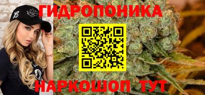 jwh Новодвинск