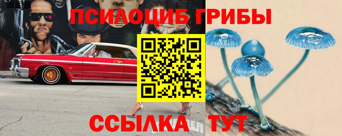 Псилоцибиновые грибы прущие грибы Рославль