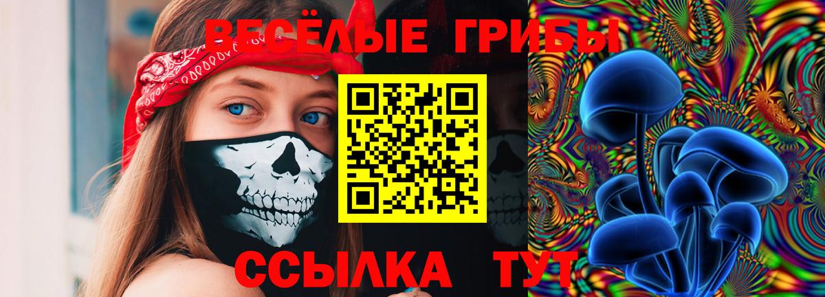 Рославль  Галлюциногенные грибы мицелий  Вход с VPN 